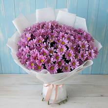 Букет цветов из:  Хризантемы в Себрово