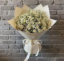 Букет цветов из:  Ромашки #REPLACE_PRED# Себрово