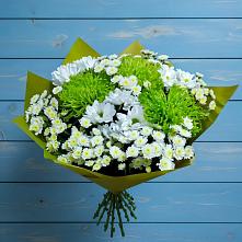Букет цветов из:  Хризантемы #REPLACE_PRED# Себрово