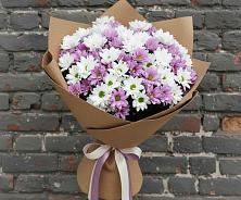 Букет цветов из:  Хризантемы #REPLACE_PRED# Себрово