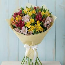 Букет цветов из:  Альстромерии в Себрово