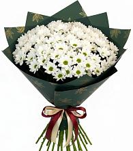 Букет цветов из:  Хризантемы #REPLACE_PRED# Себрово