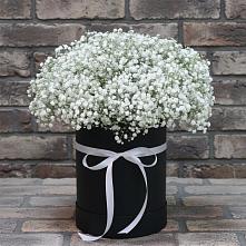 Цветочная композиция из Гипсофила в шляпной коробке в Себрово