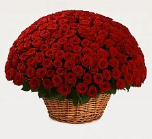 Премиум букет из: Розы в Себрово