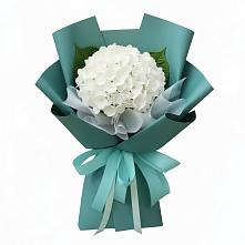 Букет цветов из:  Гортензия в Себрово